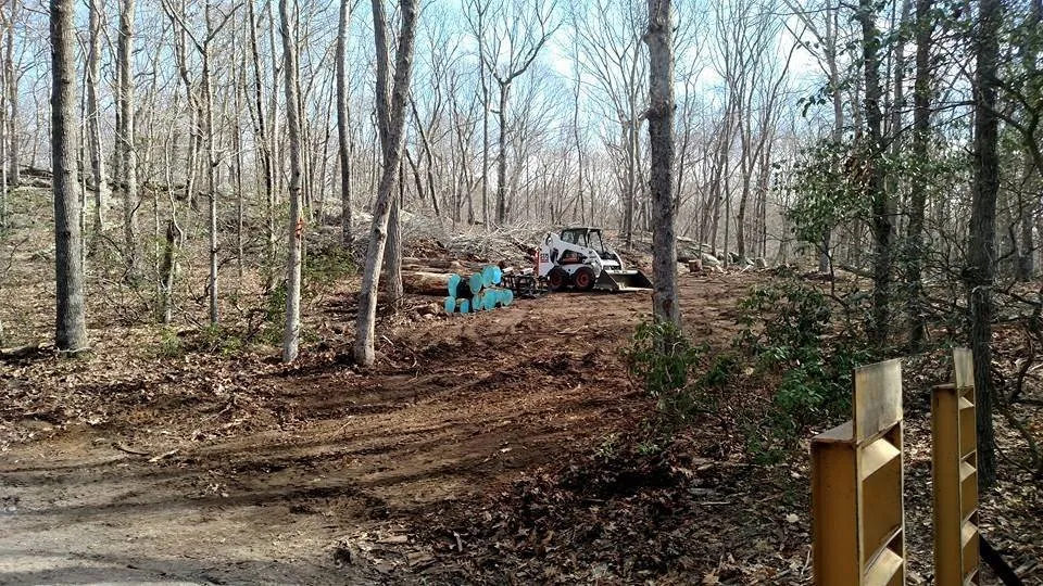 Affordable yard cleanup service in Oakdale, CT - AJC Landscaping & Dumpsters