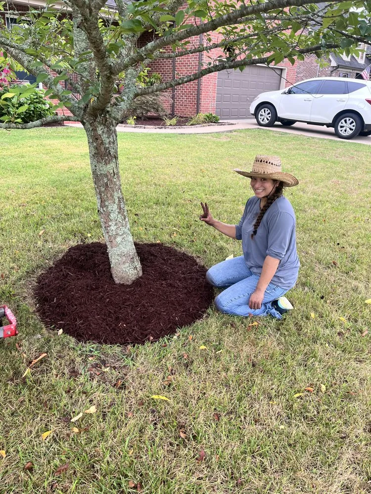 Reliable lawn care service for beautiful yards in Odessa, TX by AJC Landscaping & Mowing
