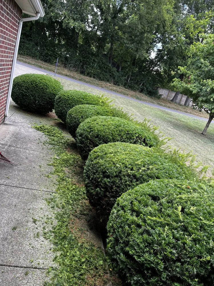 Affordable landscape design for year-round maintenance in Odessa, TX by AJC Landscaping & Mowing