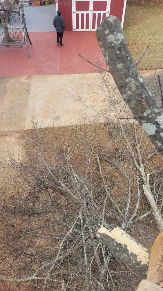 Expert landscape design experts serving McDonough, GA - AJC Lawn Care