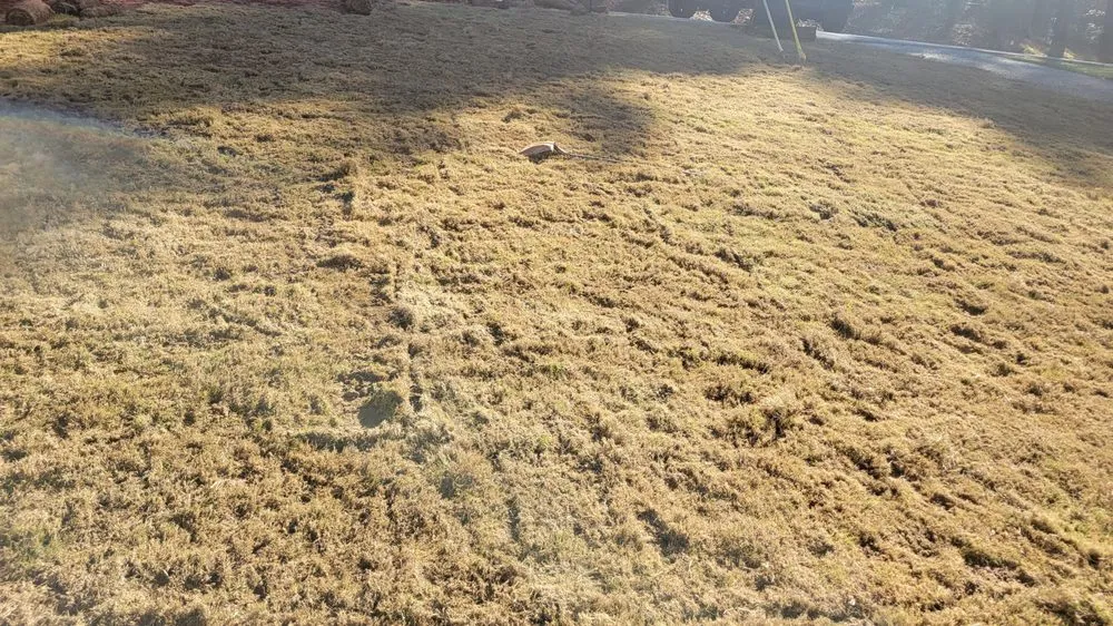 Local lawn care service for outdoor upgrades across McDonough, GA - AJC Lawn Care