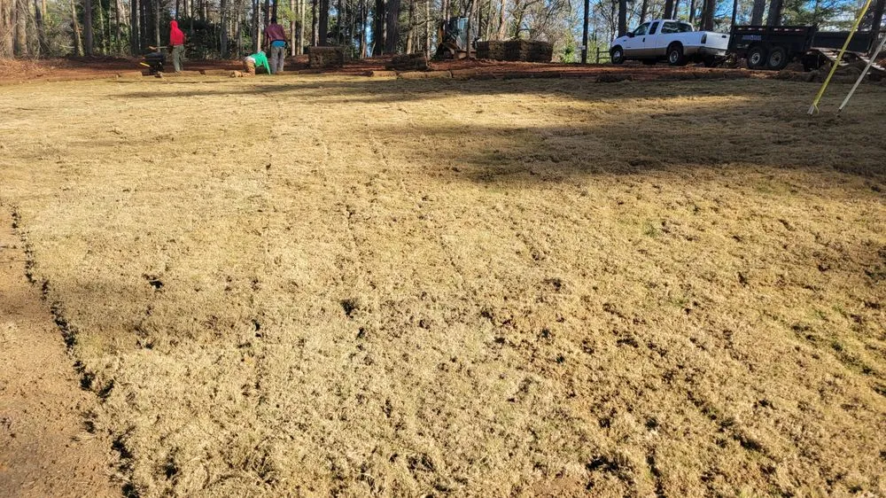 Professional yard maintenance for outdoor upgrades across McDonough, GA - AJC Lawn Care