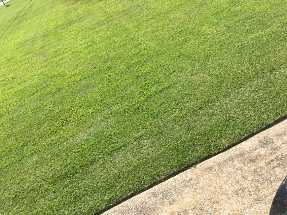 Custom yard maintenance in Crossville, AL by AJD Lawn Service