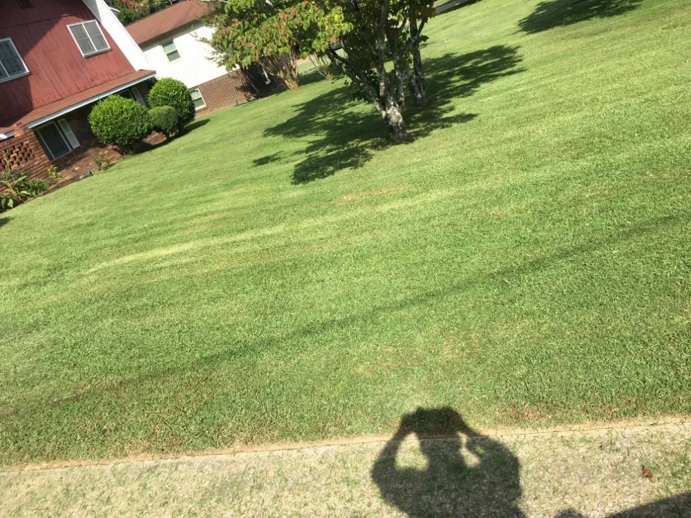 Trusted landscape installation with custom design in Crossville, AL by AJD Lawn Service
