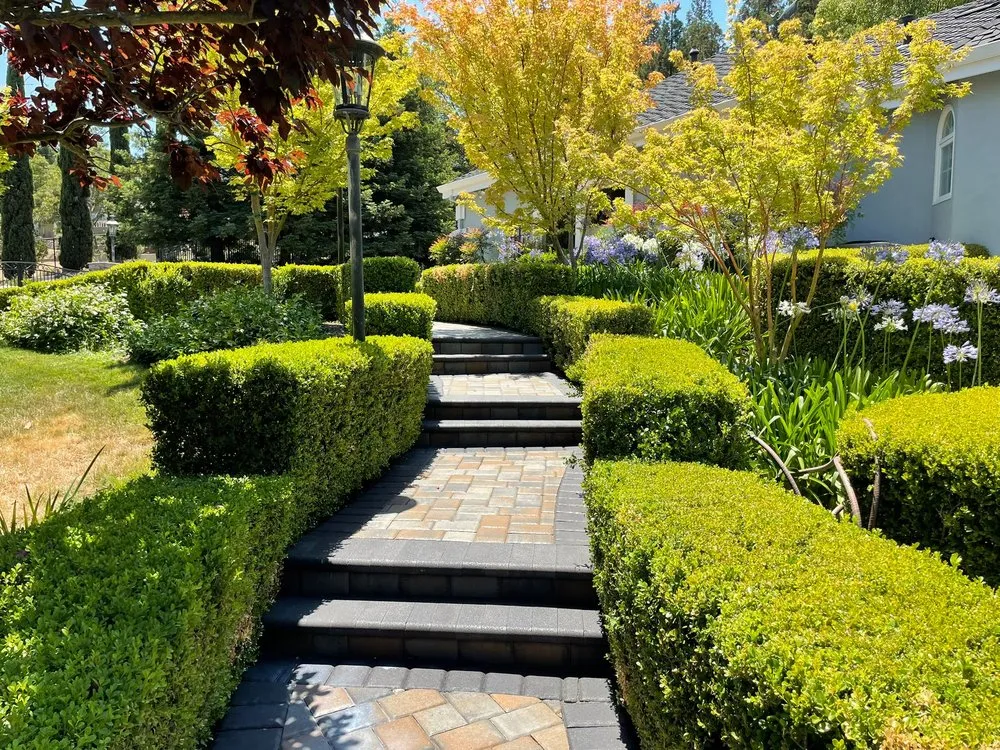 Expert residential landscaping near you in Pinole, CA by A&JGC Outdoor Solution