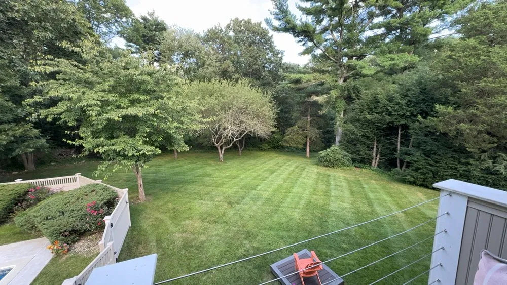 Trusted yard cleanup service in Swansea, MA by AJI Lawn & Tree