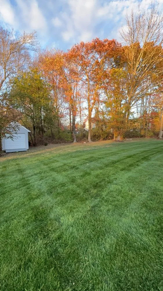 Affordable lawn mowing service near you across Swansea, MA - AJI Lawn & Tree