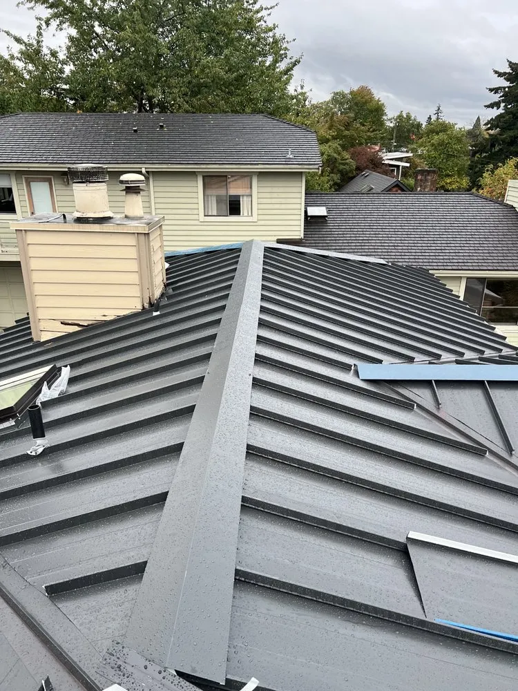 Reliable yard cleanup service in Lynnwood, WA by AJJ Morales Roofing