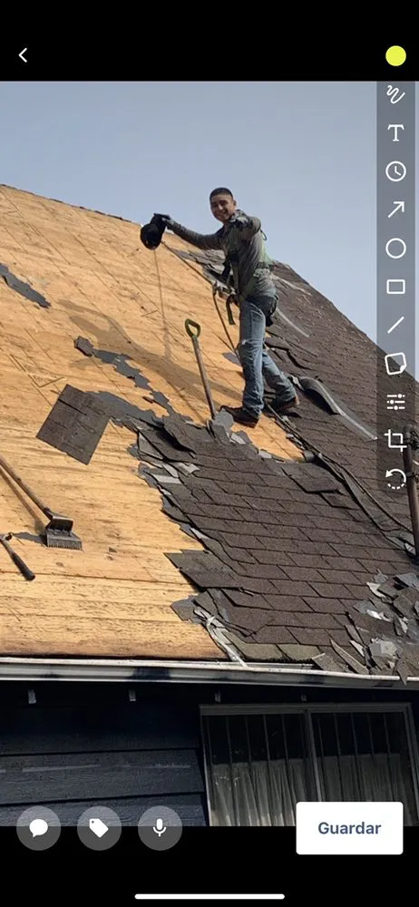 Expert yard cleanup service in Lynnwood, WA - AJJ Morales Roofing