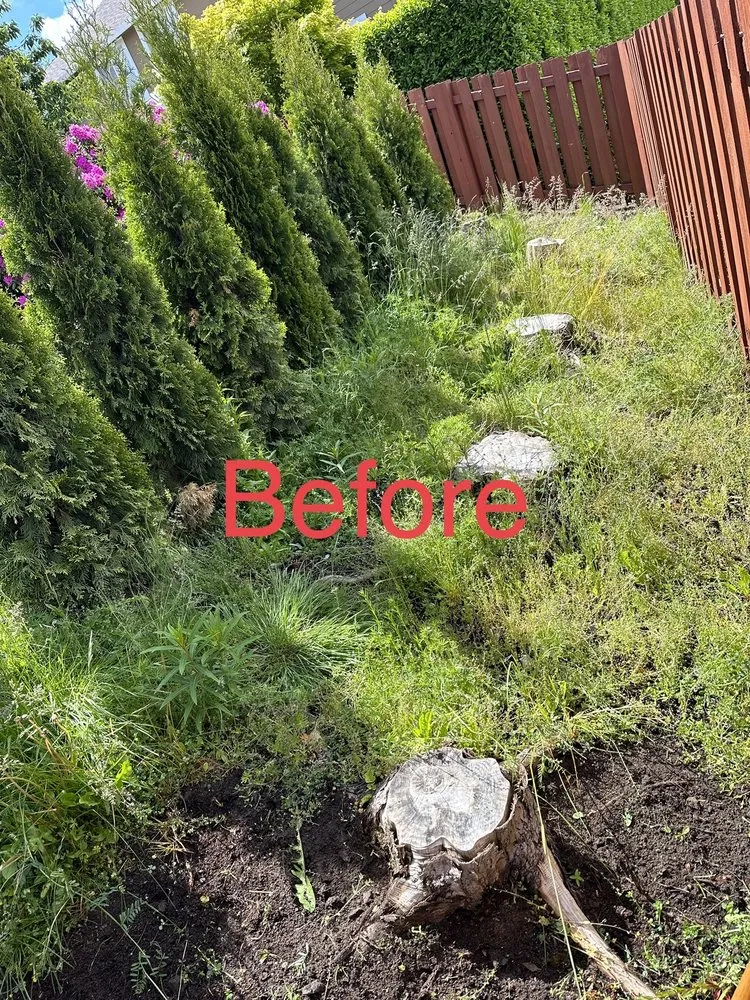 Trusted outdoor landscaping in Lynnwood, WA by AJL Landscaping Services