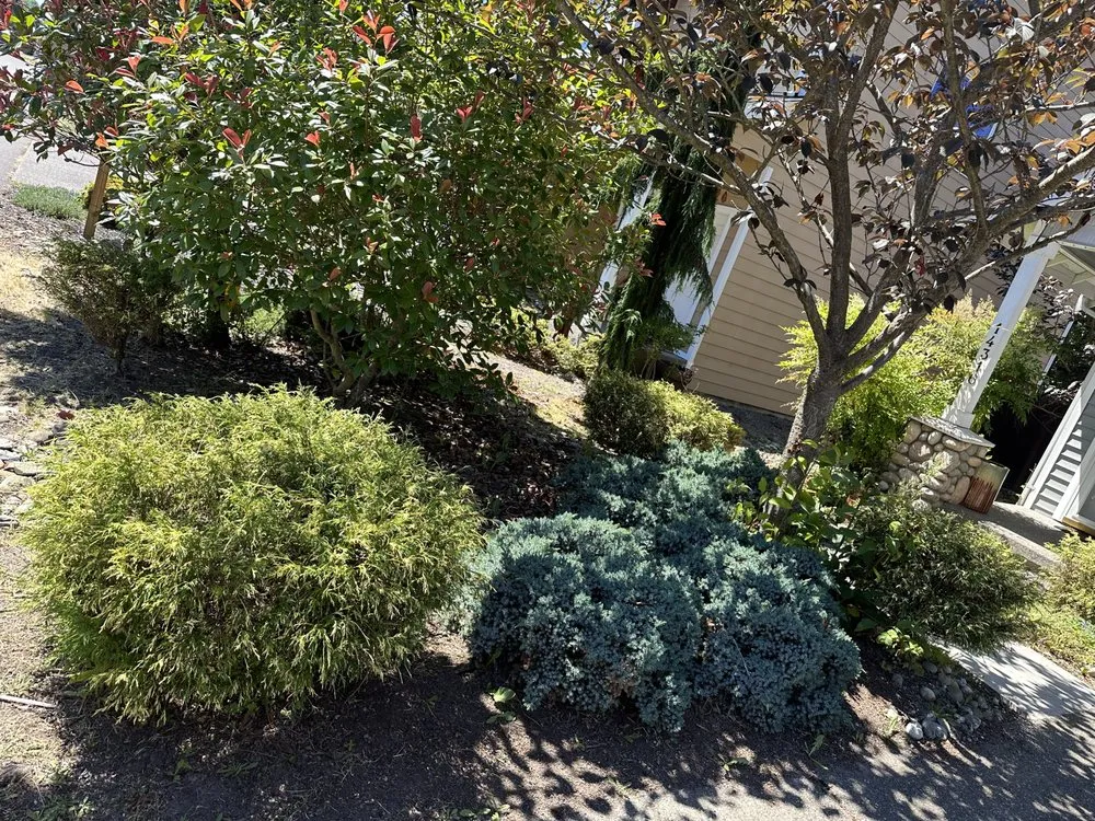 Professional landscape installation experts serving Lynnwood, WA - AJL Landscaping Services