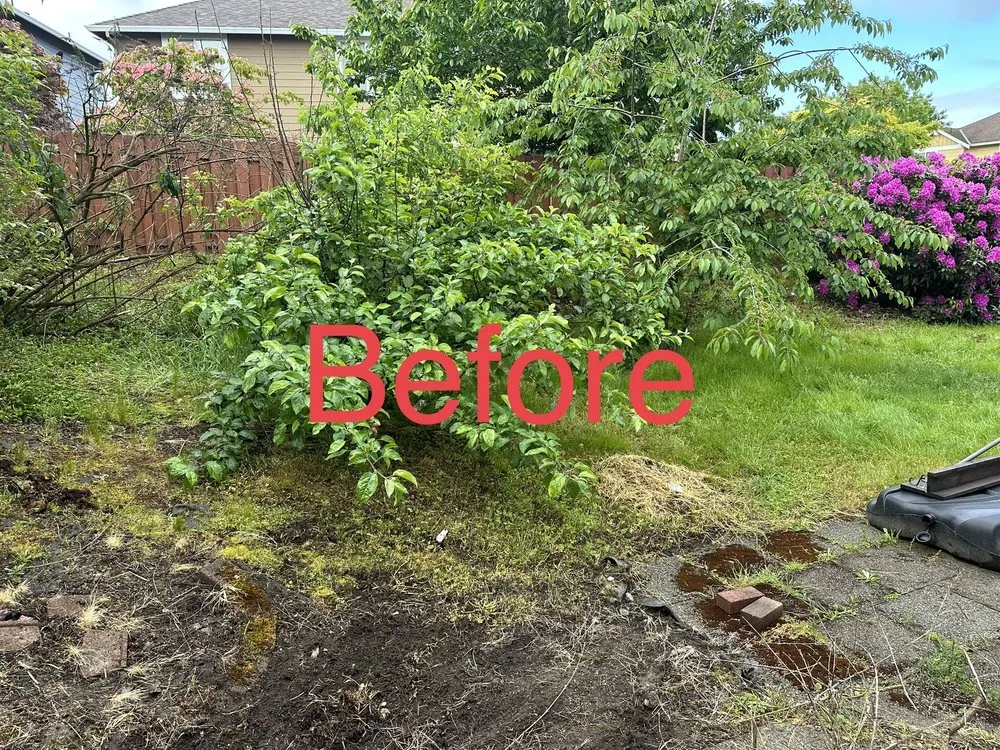 Expert lawn mowing service for outdoor upgrades in Lynnwood, WA by AJL Landscaping Services