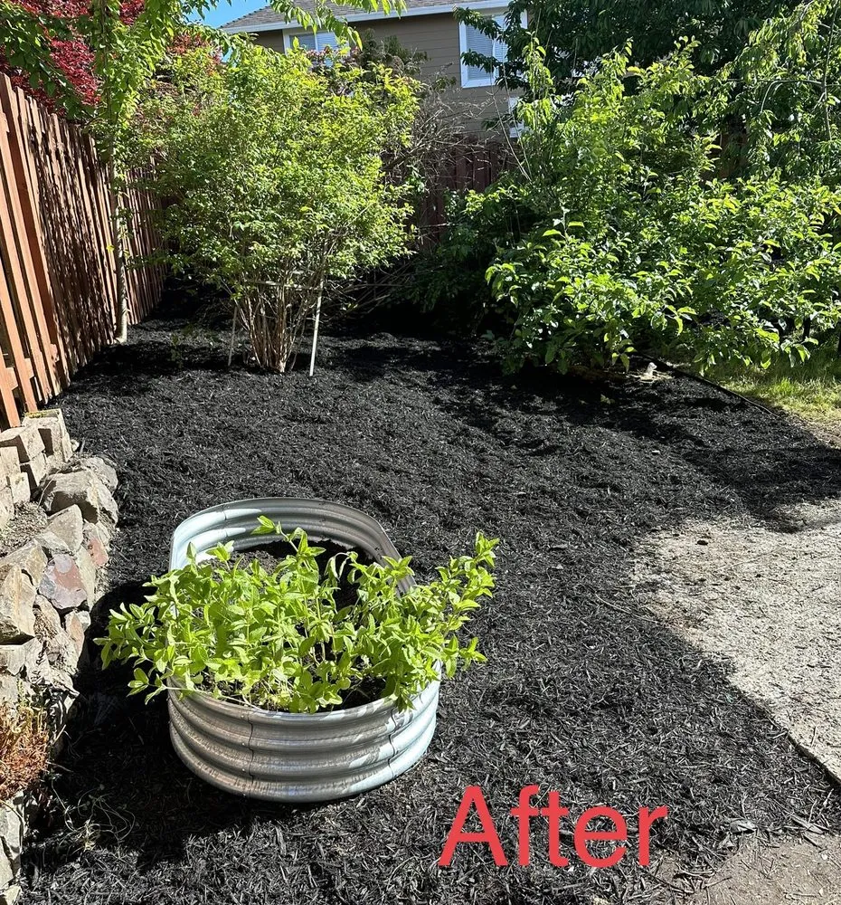 Trusted yard cleanup service experts serving Lynnwood, WA - AJL Landscaping Services