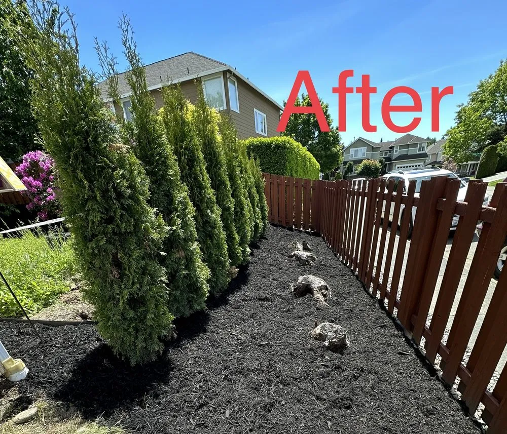Professional landscaping services in Lynnwood, WA by AJL Landscaping Services