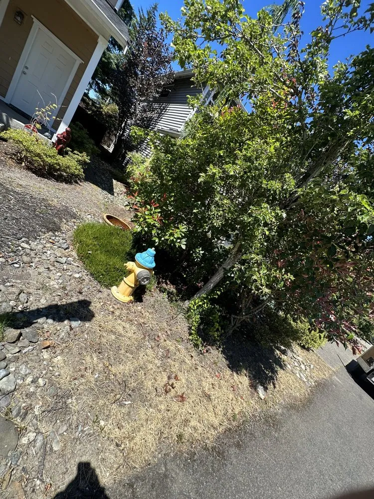Affordable landscape installation for year-round maintenance across Lynnwood, WA - AJL Landscaping Services