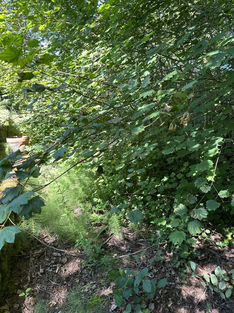 Local landscape design for residential properties across Lynnwood, WA - AJL Landscaping Services