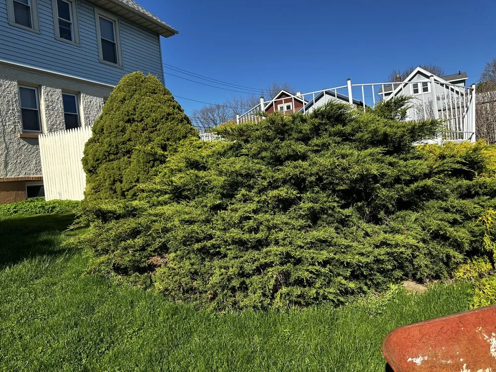 Expert garden landscaping in Syracuse, NY - AJL Landscaping