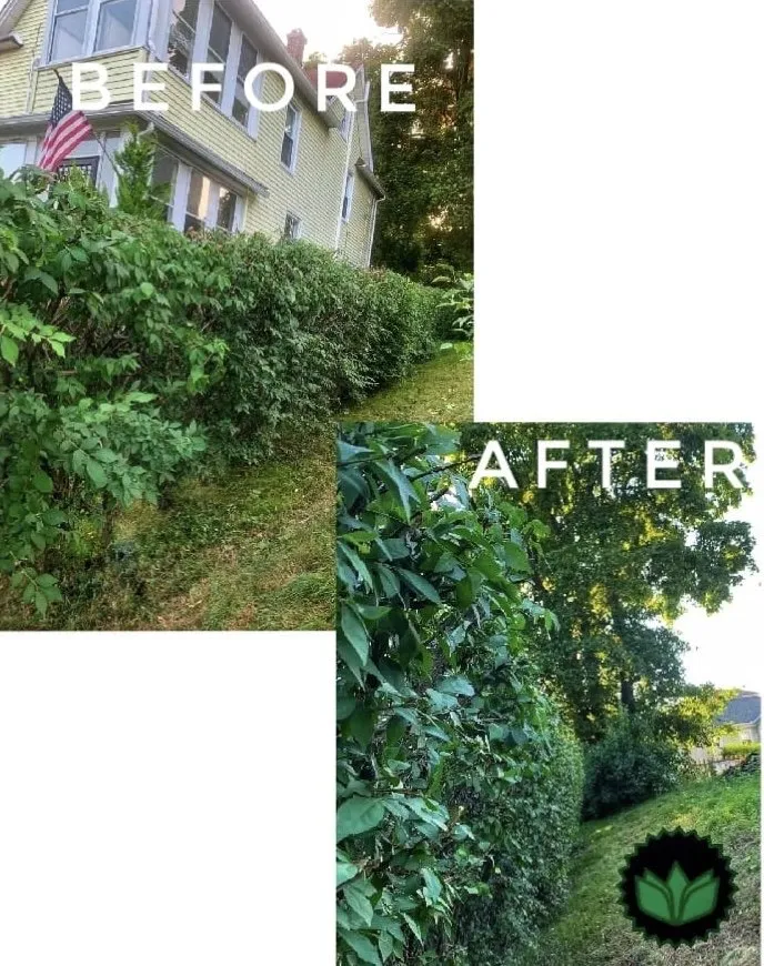 Affordable outdoor landscaping in Naugatuck, CT by AJL's Landscaping
