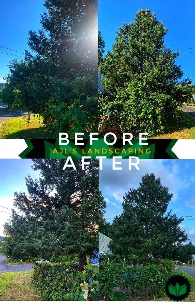 Trusted residential landscaping with custom design in Naugatuck, CT by AJL's Landscaping