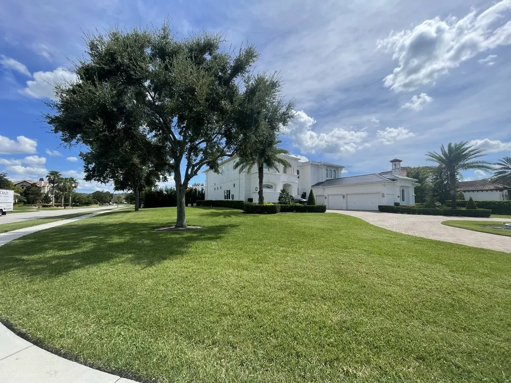 Top-rated yard cleanup service for outdoor upgrades across Clermont, FL - AJM Outdoor Solutions