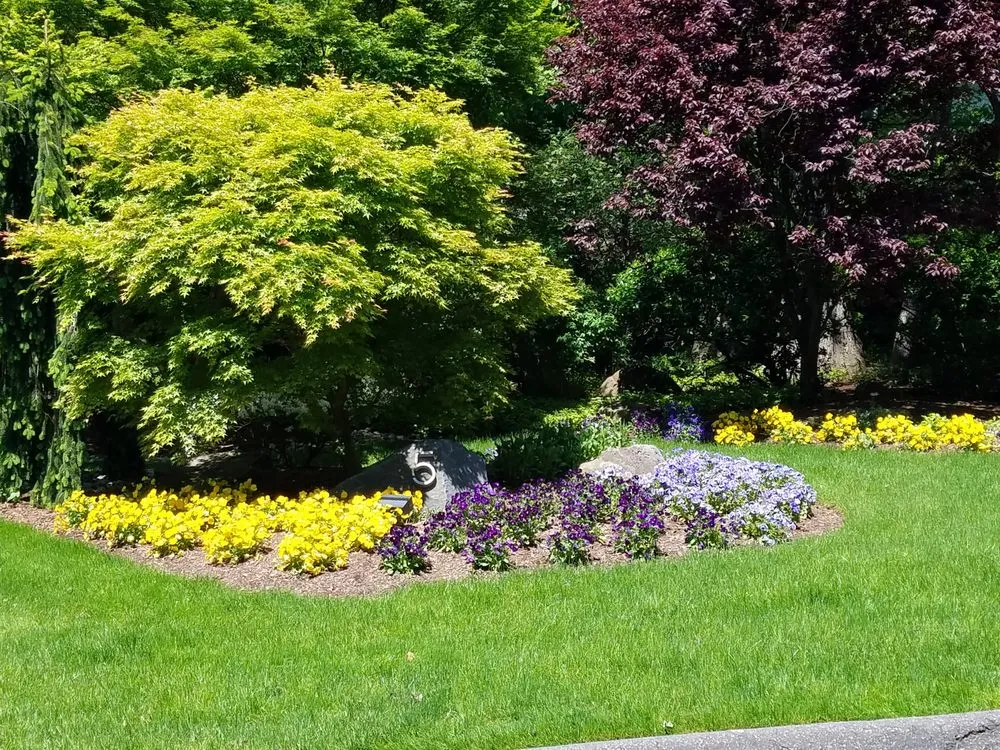 Top-rated yard cleanup service in New Milford, NJ - AJR Landscaping