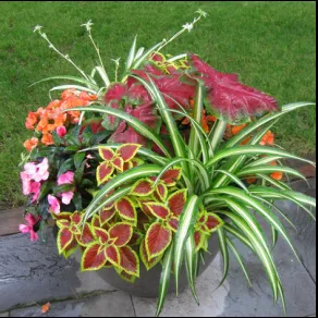 Affordable landscaping services in New Milford, NJ by AJR Landscaping