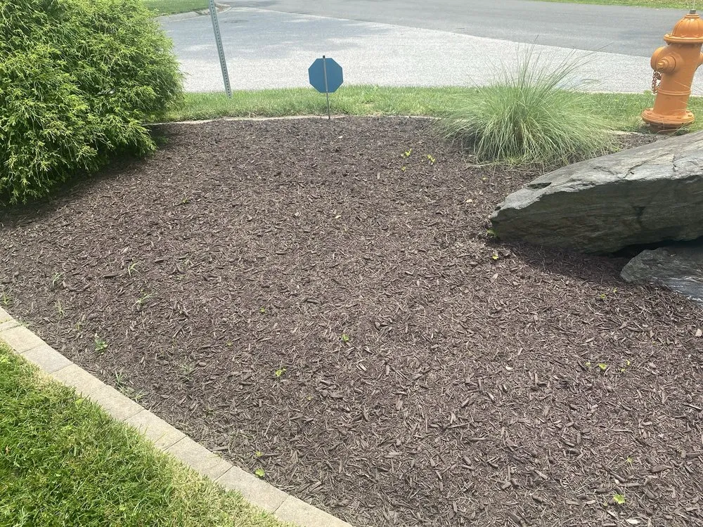 Trusted residential landscaping for year-round maintenance in Elkridge, MD by AJR Landscaping Services