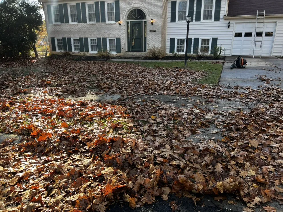 Top-rated lawn mowing service in Elkridge, MD - AJR Landscaping Services