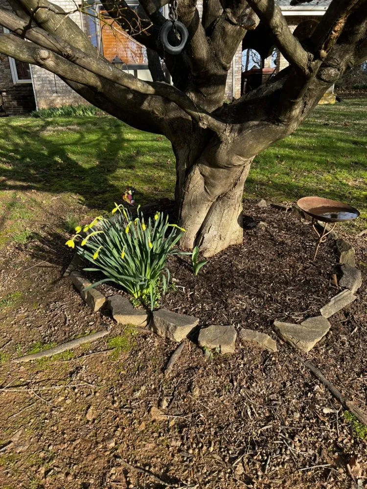 Local lawn care service experts serving Elkridge, MD - AJR Landscaping Services