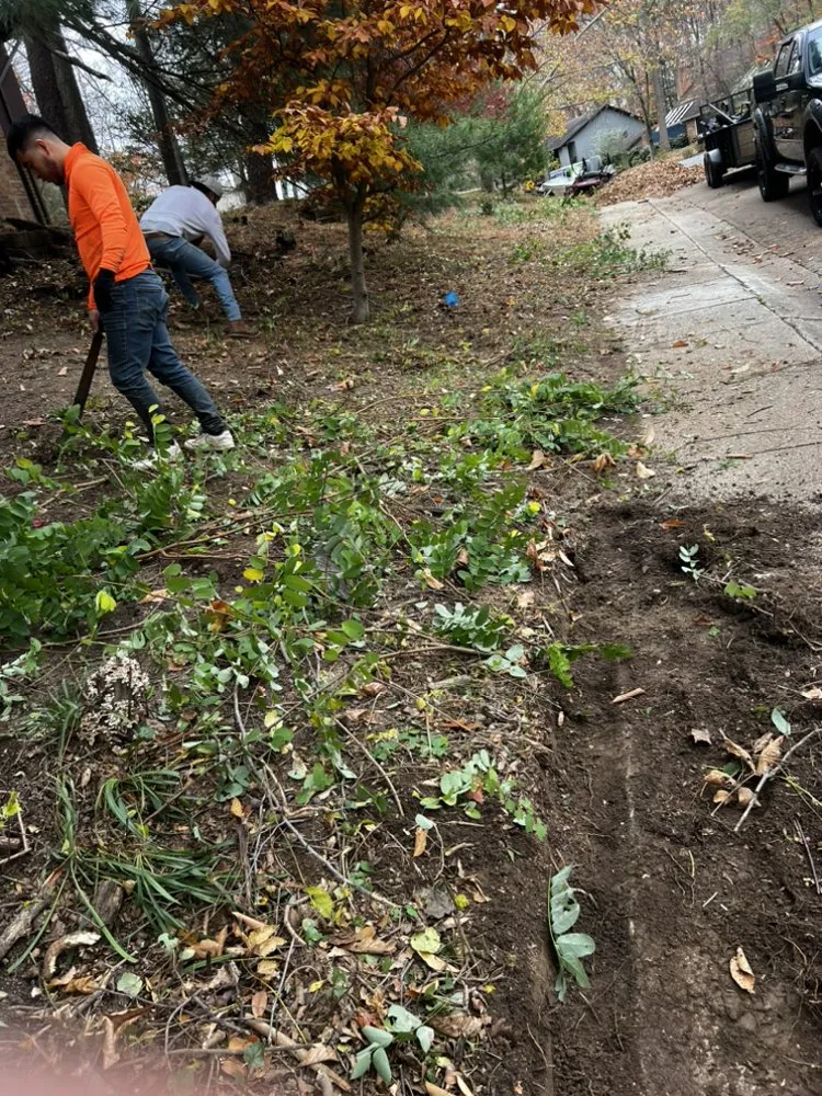 Professional landscape installation in Elkridge, MD by AJR Landscaping Services