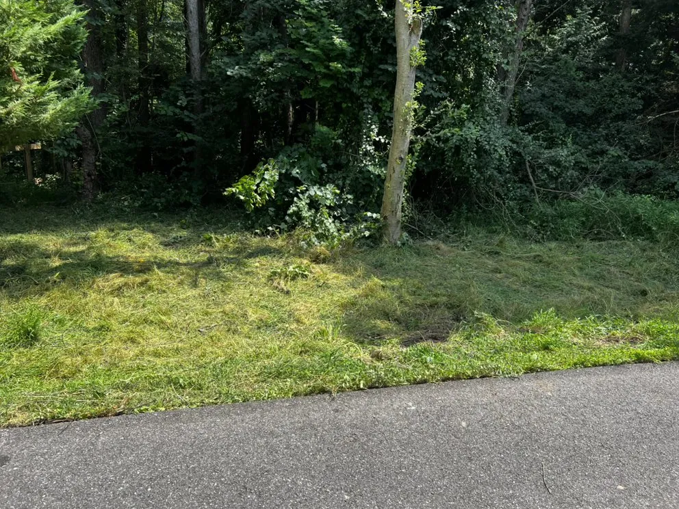 Expert lawn mowing service in Elkridge, MD - AJR Landscaping Services