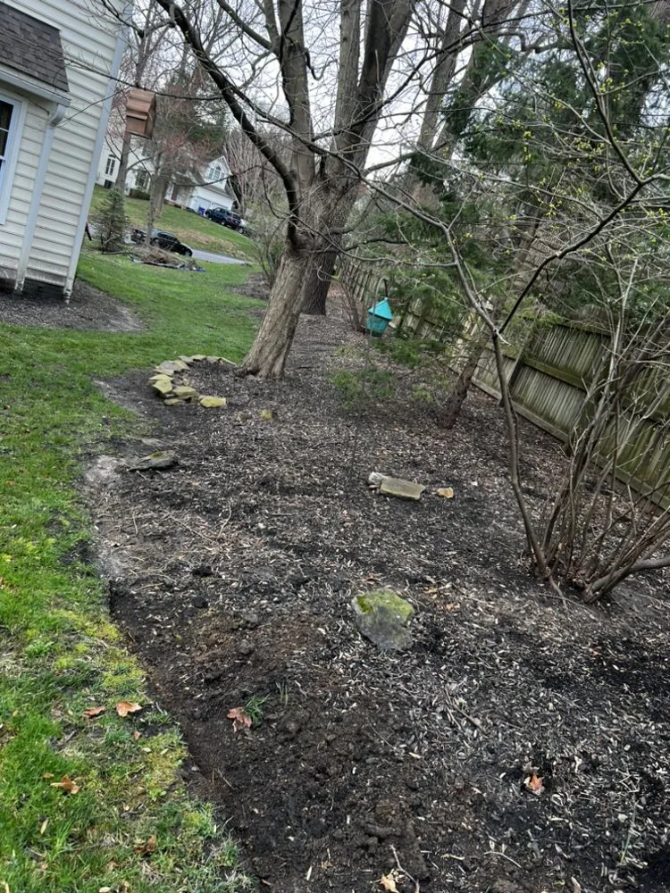Expert yard cleanup service experts serving Elkridge, MD - AJR Landscaping Services
