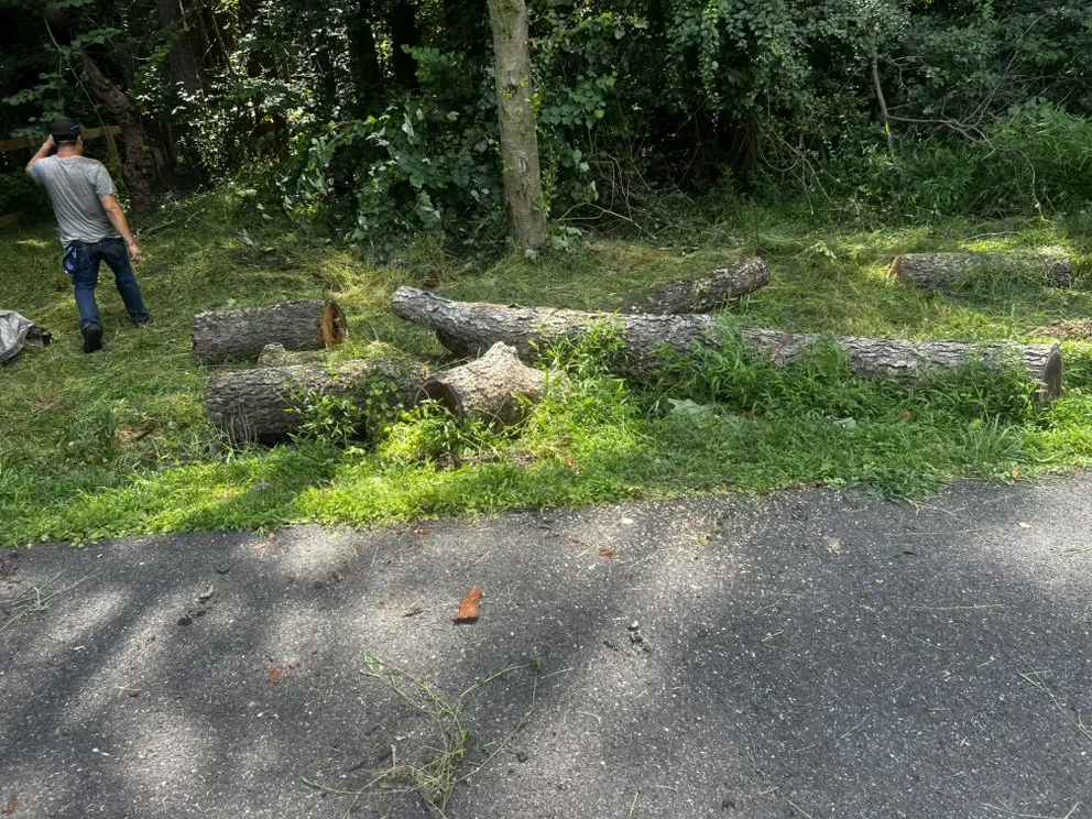 Top-rated garden landscaping experts serving Elkridge, MD - AJR Landscaping Services