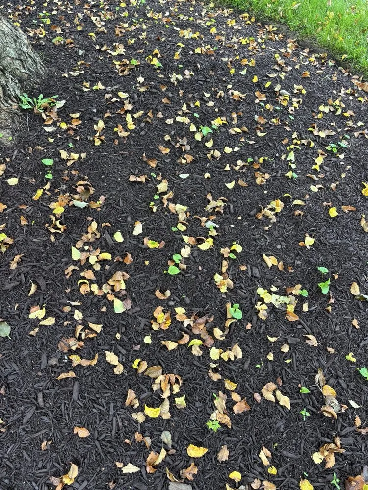 Expert garden landscaping experts serving Elkridge, MD - AJR Landscaping Services