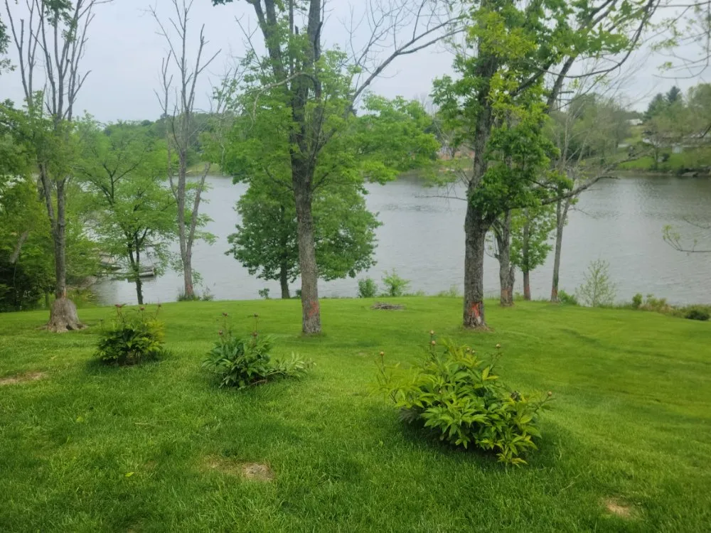 Expert yard maintenance in Walton, KY - Ajr Lawncare & Landscaping
