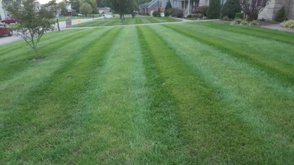 Local yard cleanup service in Walton, KY - Ajr Lawncare & Landscaping