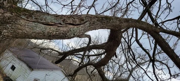 Ajr Lawncare & Landscaping