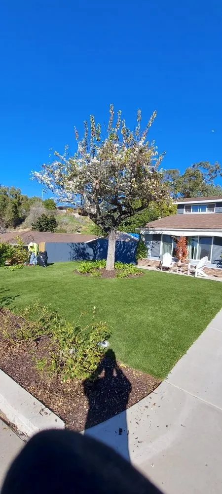 Professional landscape installation in San Diego, CA by AJ'S All American Landscape & Construction