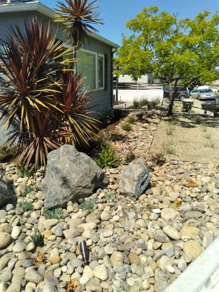 Local landscape installation for year-round maintenance across San Diego, CA - AJ'S All American Landscape & Construction