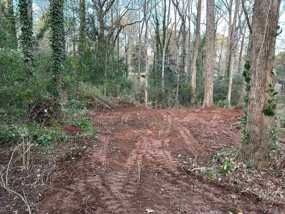 Top-rated yard cleanup service near you in Thomson, GA by AJ's Clearing and Grading