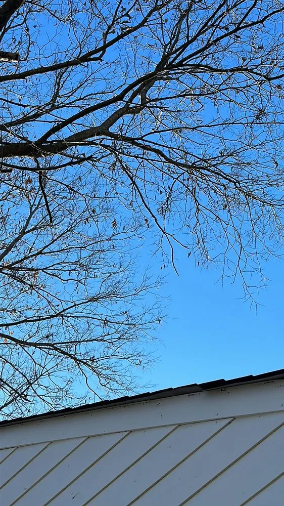 Top-rated landscaping services in Columbus, OH by Ajs Columbus handyman