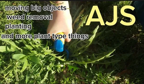 AJS Helping Crew Logo