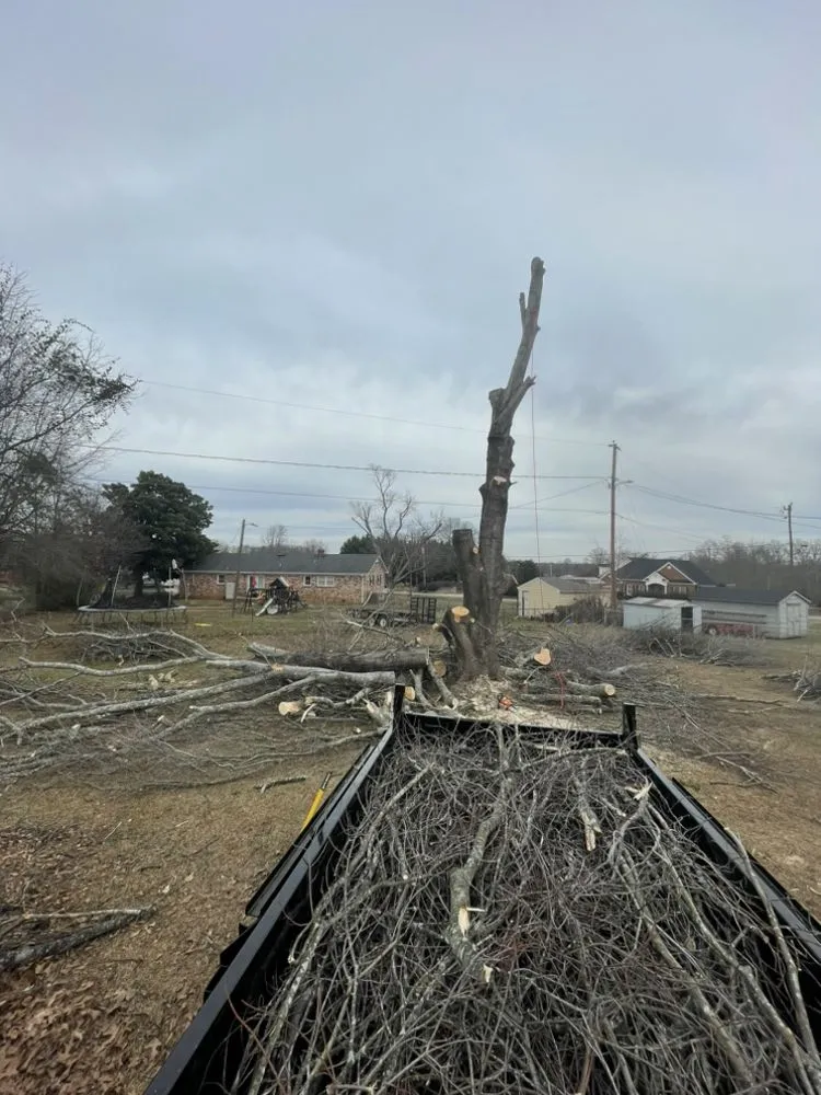 Trusted outdoor landscaping for residential properties in Spartanburg, SC by Aj’s Landscape & More