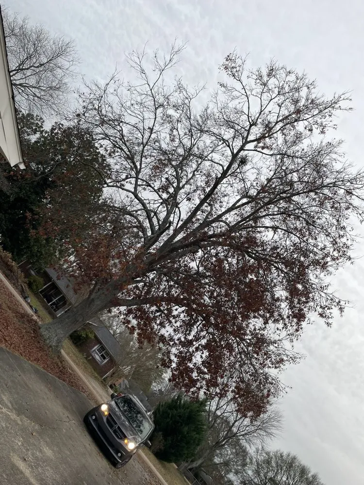 Trusted yard maintenance for residential properties across Spartanburg, SC - Aj’s Landscape & More