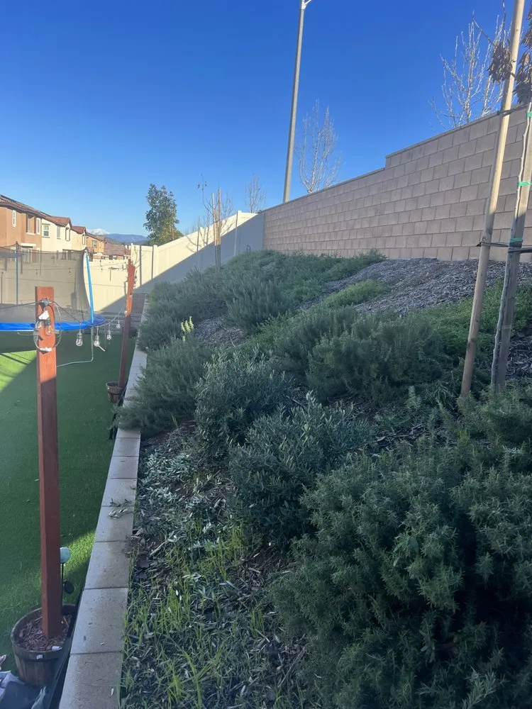 Expert landscape design experts serving Perris, CA - Aj’s Landscape