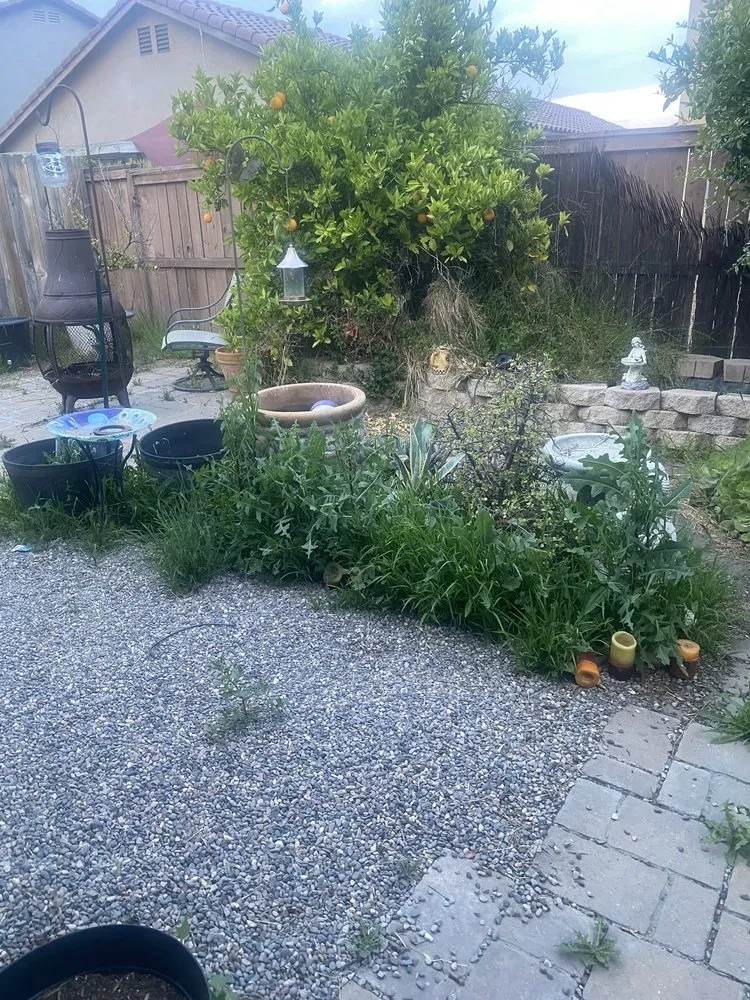 Top-rated garden landscaping near you in Perris, CA by Aj’s Landscape