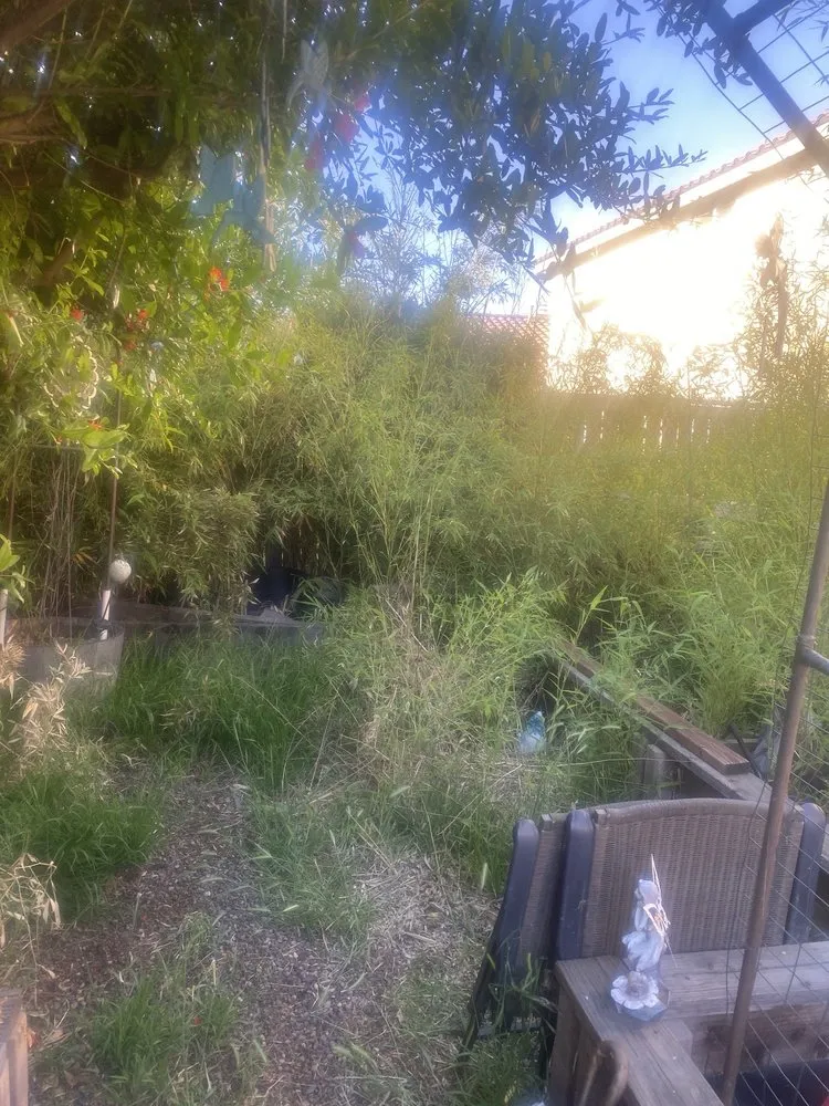 Professional landscape design in Perris, CA - Aj’s Landscape