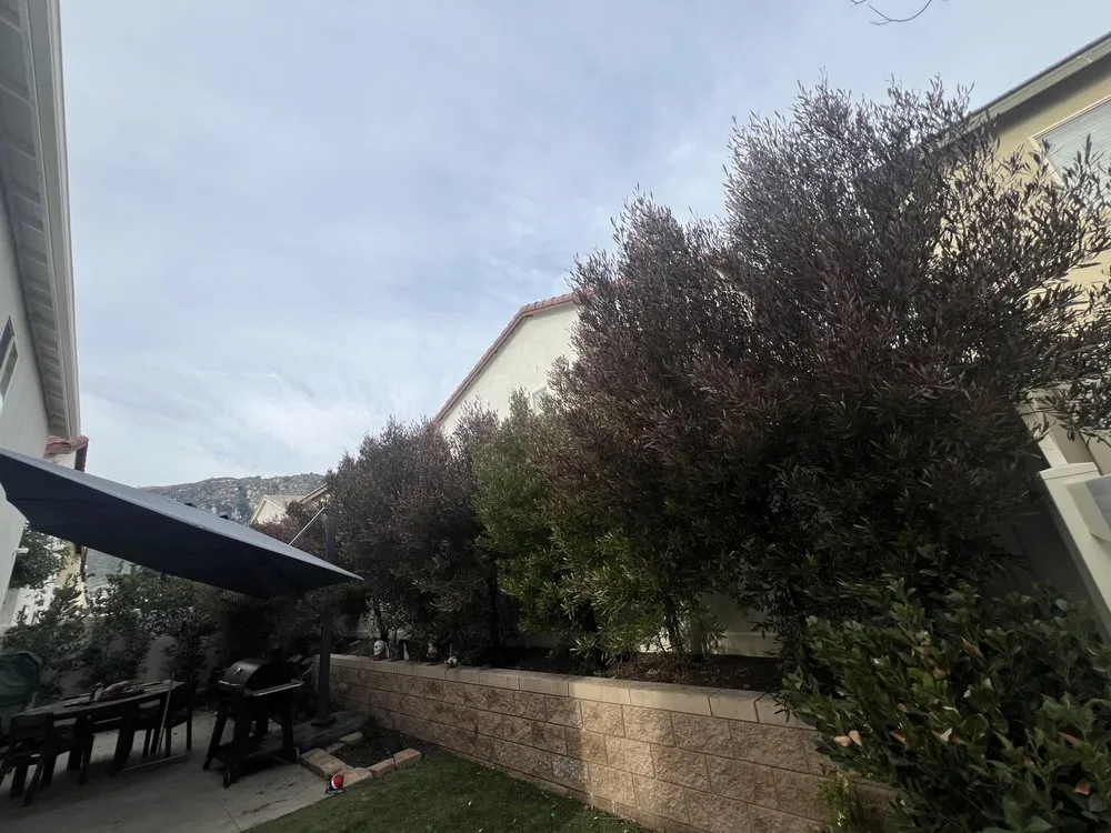 Professional garden landscaping for year-round maintenance across Perris, CA - Aj’s Landscape