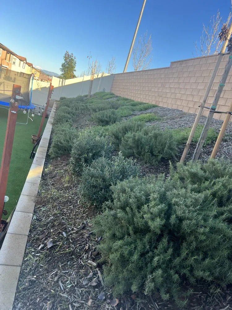 Local yard maintenance in Perris, CA - Aj’s Landscape
