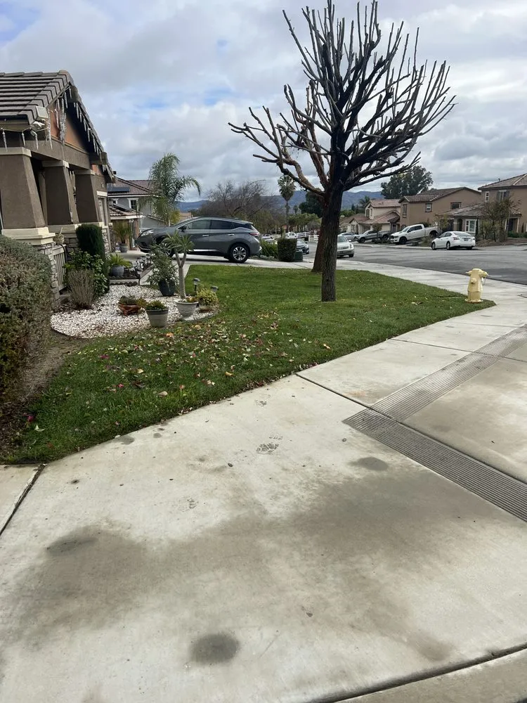 Local yard cleanup service near you across Perris, CA - Aj’s Landscape